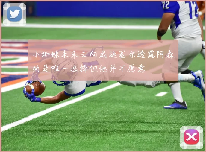 小蜘蛛未来去向成谜塞尔透露阿森纳是唯一选择但他并不愿意